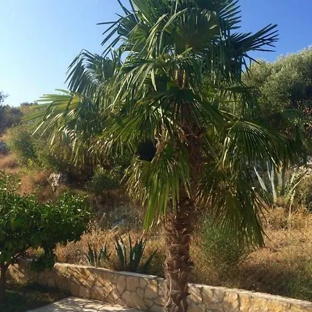Lavendel Trogir