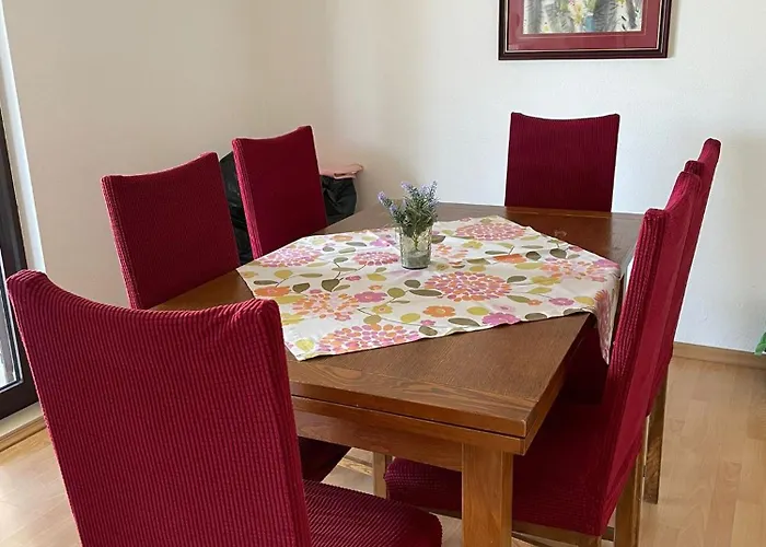 Lavendel * 特罗吉尔