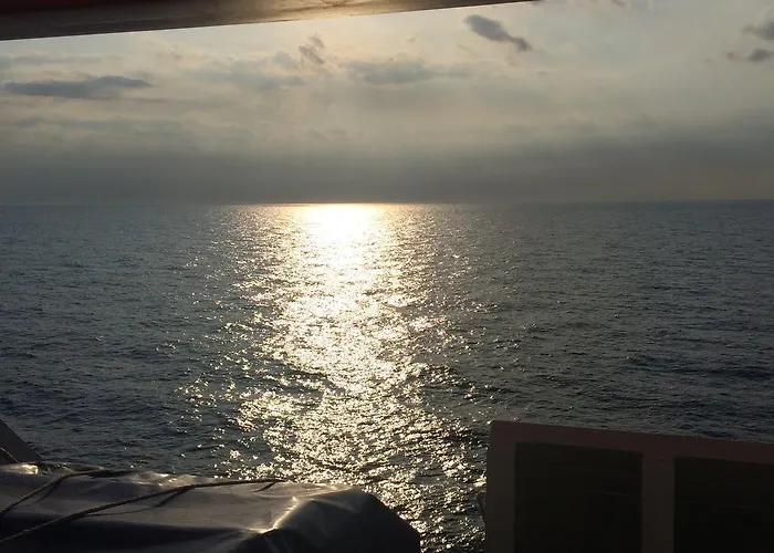 Lavendel 特罗吉尔