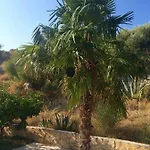 Lavendel Trogir