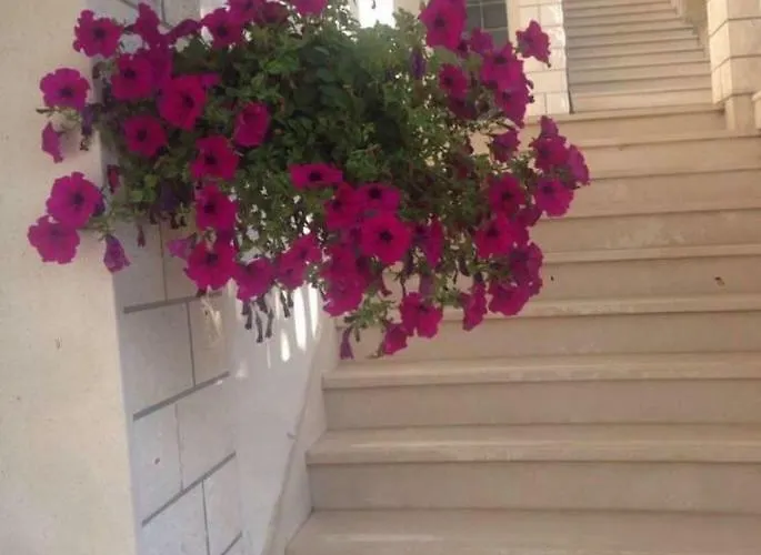 Lavendel Appartement